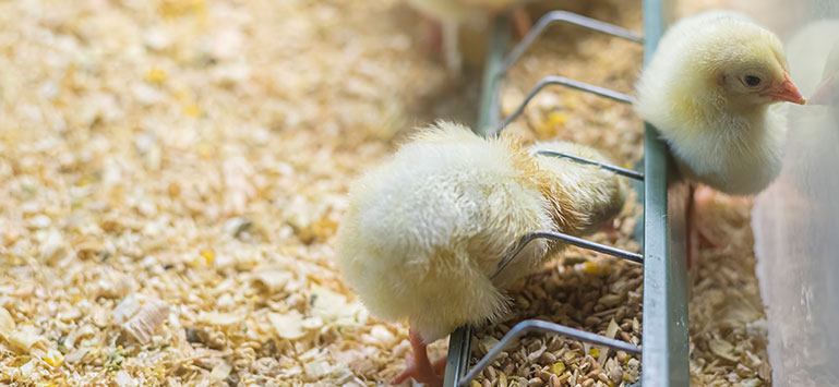 永乐高·(中国区)官方网站