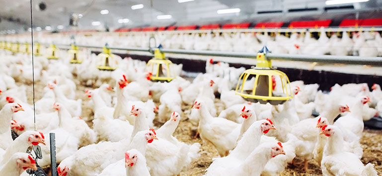 永乐高·(中国区)官方网站