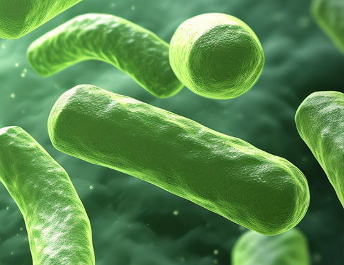 永乐高·(中国区)官方网站