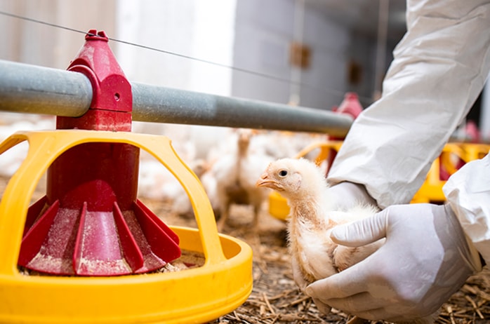 永乐高·(中国区)官方网站