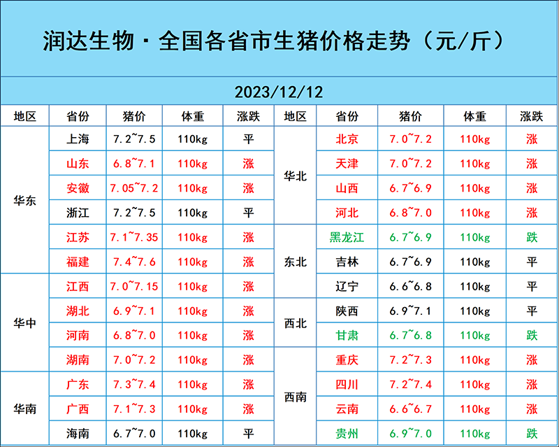 12月12日猪价行情