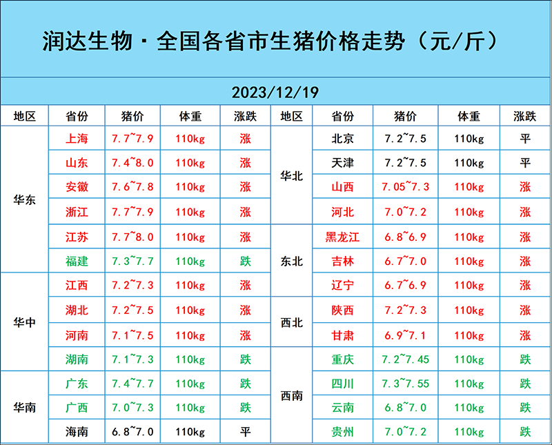 12月19日猪价行情