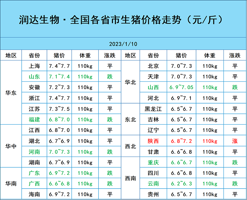 1月10日猪价行情