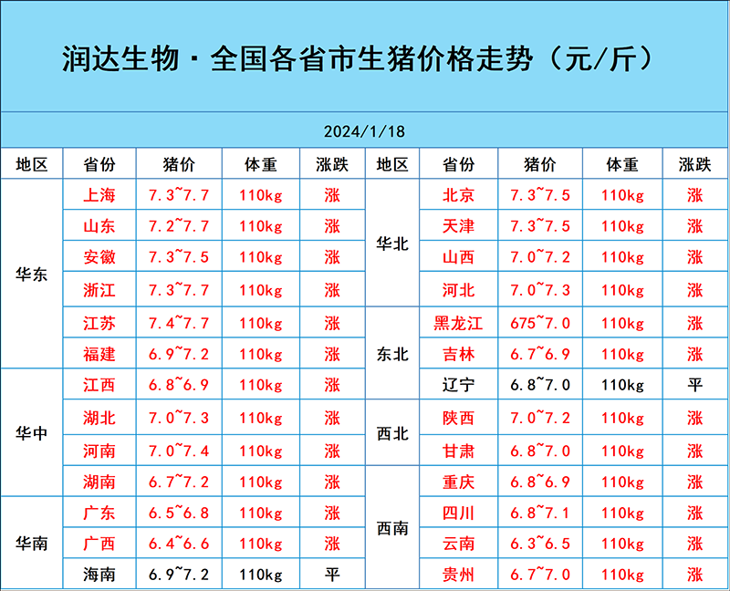 1月18日猪价行情