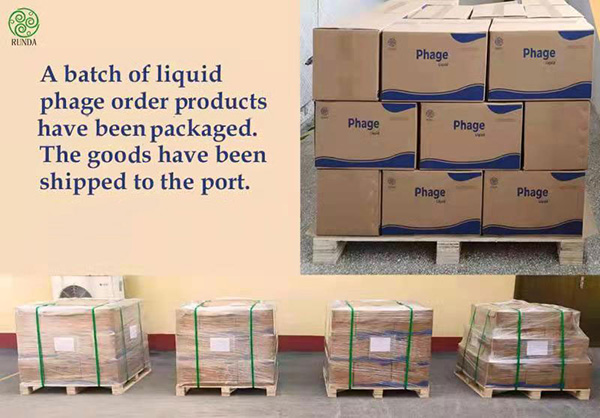  永乐高生物噬菌体“外洋首单”：孟加拉，我们来了！