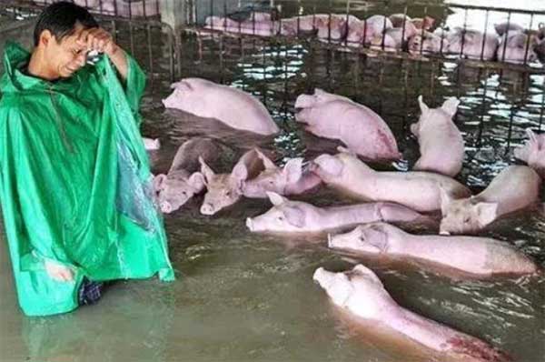  豫你一起，志同道合！永乐高生物捐赠消毒防疫物资支援河南灾区！