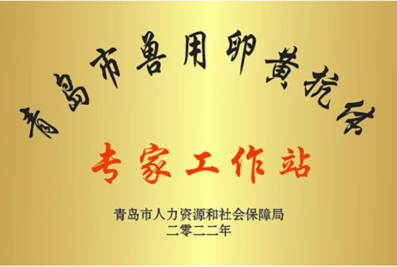  喜讯||祝贺永乐高生物获批2022年轻岛市专家事情站