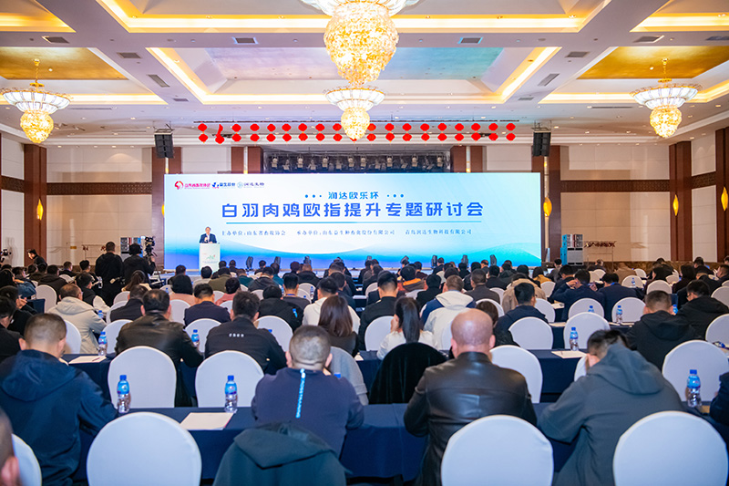  博采众长话欧指·同创共享增效益||“永乐高欧乐杯”白羽肉鸡欧指提升专题钻研会圆满召开