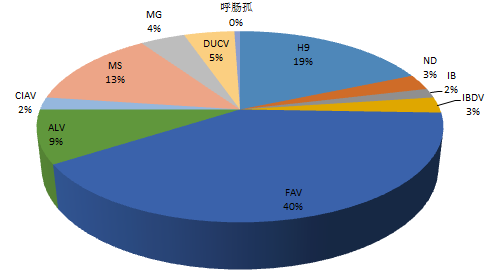 家禽病原检出情形