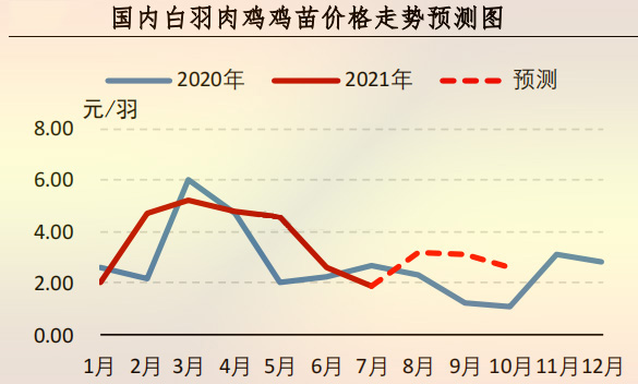 海内白羽肉鸡鸡苗价钱走势展望图