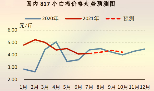 海内 817 小白鸡价钱走势展望图