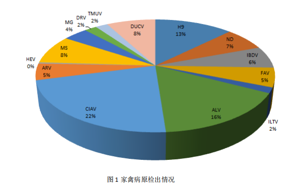 家禽病原检出情形