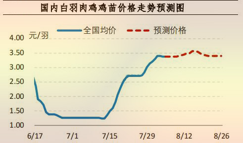 海内白羽肉鸡鸡苗价钱走势展望图