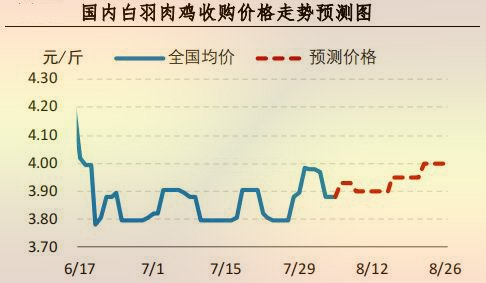 海内白羽肉鸡收购价钱走势展望图