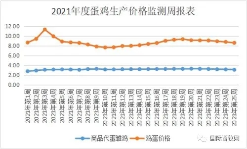 蛋鸡生产价钱