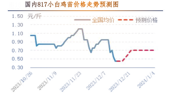 肉鸡市场行情汇总