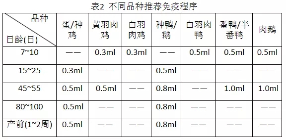 差别品种免疫程序参考