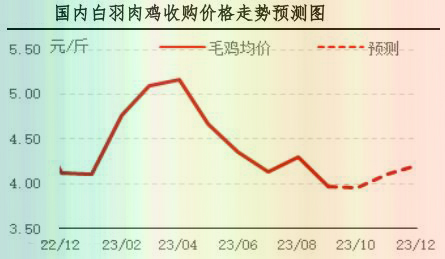 9月肉鸡市场行情剖析及10月行情展望