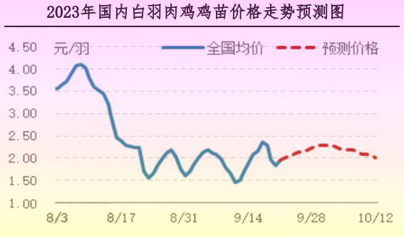 肉鸡市场行情汇总