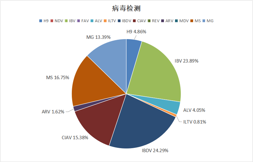 2024年1月白羽肉鸡疫病检测剖析报告