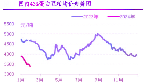 1月肉鸡市场行情剖析及2月行情展望