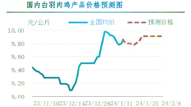 肉鸡市场行情汇总