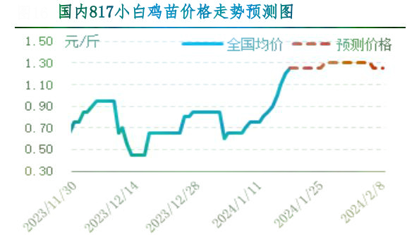 肉鸡市场行情汇总