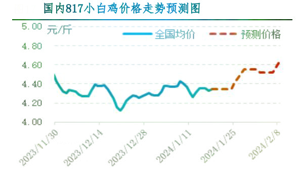 肉鸡市场行情汇总