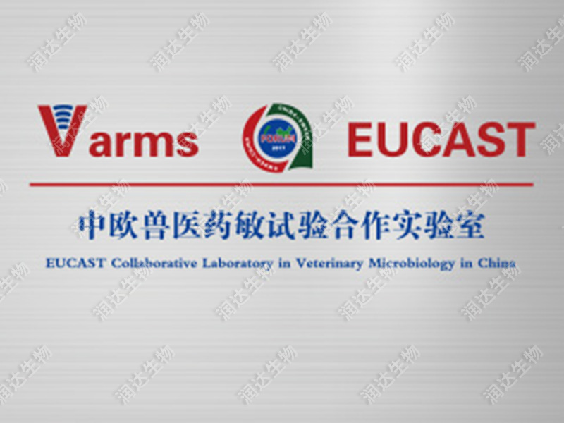 中欧药敏实验室